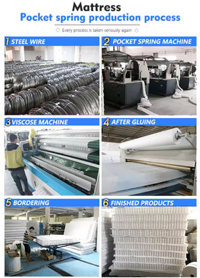 Προσαρμοσμένα Roll Pack Bed Pocket μεμονωμένα ελατήρια για στρώμα