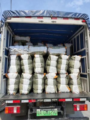 Καλή τιμή Ανθεκτικό ελατήριο τσέπης από χάλυβα υψηλής περιεκτικότητας σε άνθρακα για καναπέ με προσαρμοσμένο μέγεθος και συσκευασία συμπίεσης σε απευθείας σύνδεση