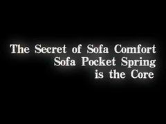 Μονάδα ελατήριας τσέπης καναπέ